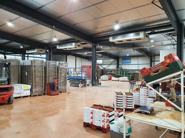 Climatisation d'un hall de conditionnement de Pom Roussillon à Thuir