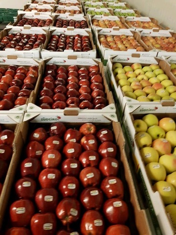 Chambre froide pour fruits et légumes